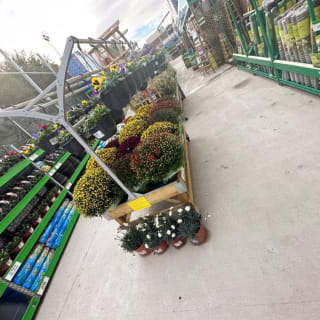 238-bmstores-blackburn-store-opening-6