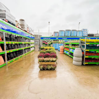 311-bmstores-leven-garden-centre