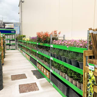 378-bmstores-abbeywood-garden-centre-42