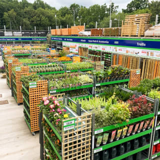 378-bmstores-abbeywood-garden-centre-5