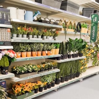 394-bmstores-neatscourt-2024-06-21-61