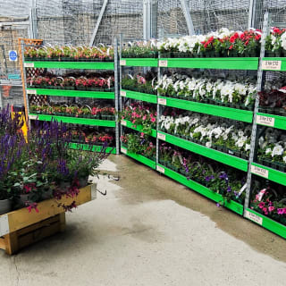 394-bmstores-neatscourt-2024-06-21-71