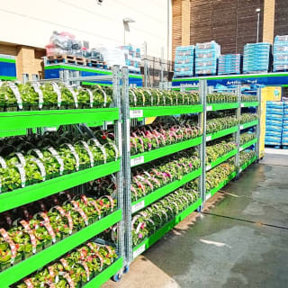 394-bmstores-neatscourt-garden-centre-2024-06-10-3