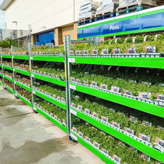 394-bmstores-neatscourt-garden-centre-2024-06-10-4