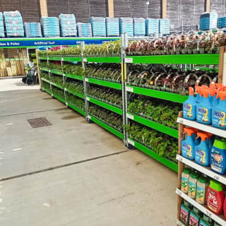 394-bmstores-neatscourt-garden-centre-2024-06-10-5