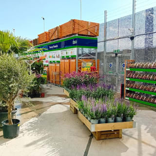 394-bmstores-neatscourt-garden-centre-2024-06-10