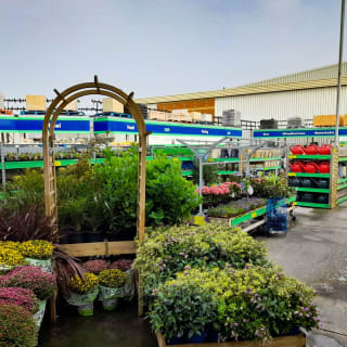 419-bandm-walsall-reedswood-store-7