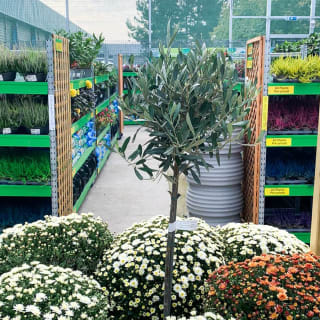 435-bmstores-switch-island-16