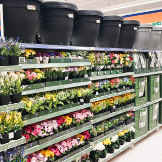 464-bmstores-southwick-store-opening-16