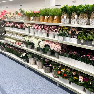 481-bandm-portrack-store-reopening-6