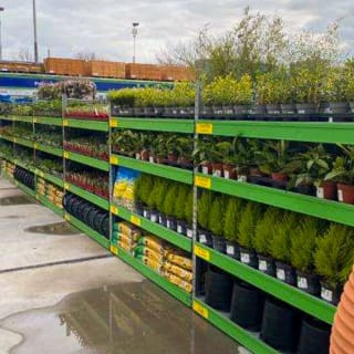 485-bandm-walton-store-5