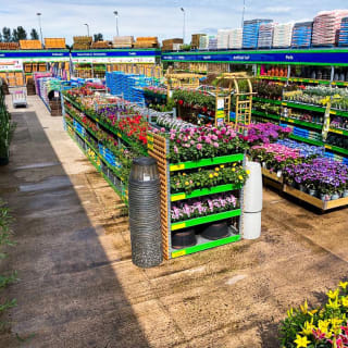 492-bandm-uddingston-store-reopening-7