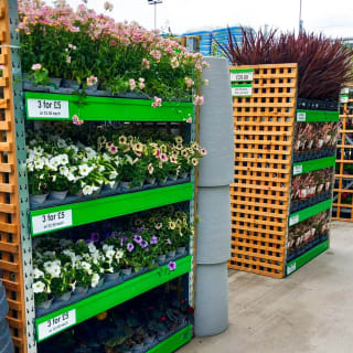 493-bmstores-hunslet-garden-centre-opening-2024-05-18-14