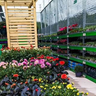 493-bmstores-hunslet-garden-centre-opening-2024-05-18-16