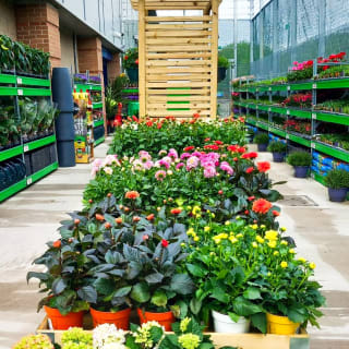 493-bmstores-hunslet-garden-centre-opening-2024-05-18-20