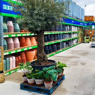 493-bmstores-hunslet-garden-centre-opening-2024-05-18-22