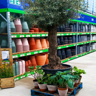 493-bmstores-hunslet-garden-centre-opening-2024-05-18-23