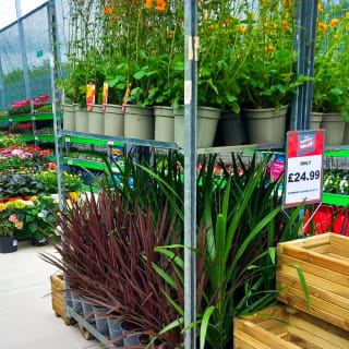 493-bmstores-hunslet-garden-centre-opening-2024-05-18-30