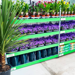 493-bmstores-hunslet-garden-centre-opening-2024-05-18-5