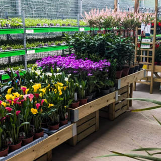493-bmstores-hunslet-garden-centre-opening-2024-05-18-8