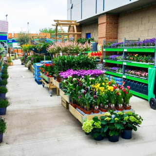 493-bmstores-hunslet-garden-centre-opening-2024-05-18-9