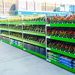 662-brislington-garden-centre-3