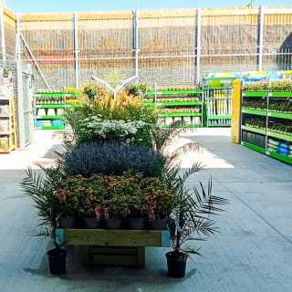 662-brislington-garden-centre