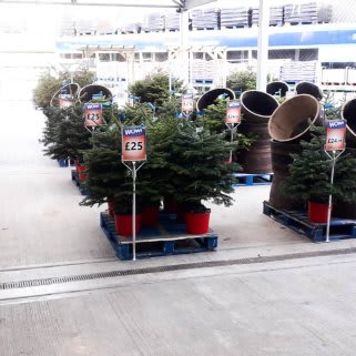 701-bandm-bournemouth-store-25