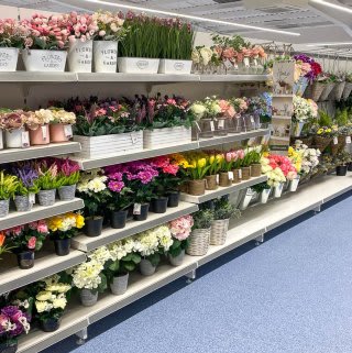 712-bandm-pallion-store-with-garden-centre-25