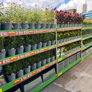 725-bandm-flude-park-crewe-store-graden-centre-5