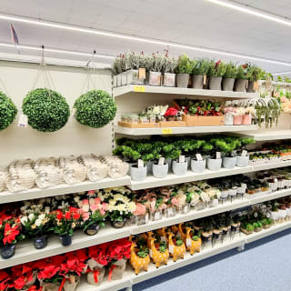 733-bandm-haverfordwest-store-52