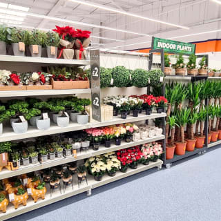 742-bandm-dartford-store-12