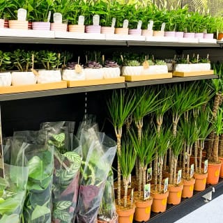 752-bandm-seamer-road-store-34