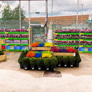 759-bandm-store-tinkersway-garden-centre-2