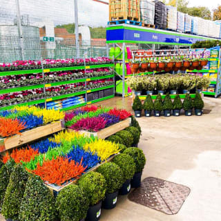 759-bandm-store-tinkersway-garden-centre