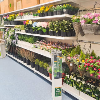 770-bandm-store-opening-ocotal-way-21