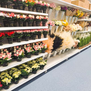 770-bandm-store-opening-ocotal-way-53