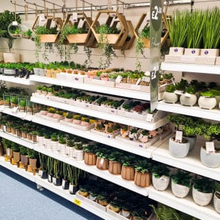 773-bandm-glencairn-store-opening-35