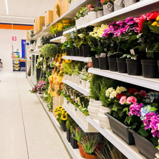 774-bandm-store-opening-tamworth-57