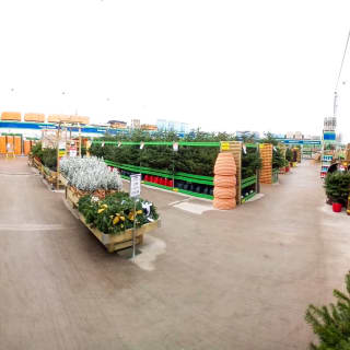 774-bmstores-tamworth-garden-centre