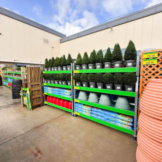 776-bmstores-gunness-store-opening-12