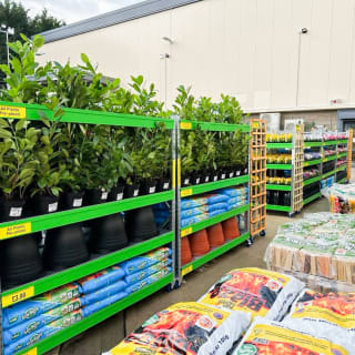 776-bmstores-gunness-store-opening-9