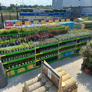 781-bmstores-barrhead-garden-centre-images-11