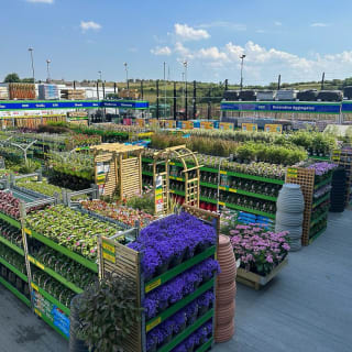 781-bmstores-barrhead-garden-centre-images-3