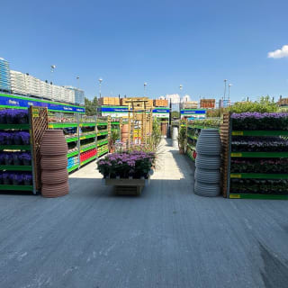 781-bmstores-barrhead-garden-centre-images-7
