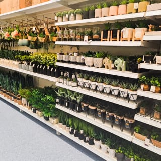 794-bmstores-eastbourne-store-oepning-27