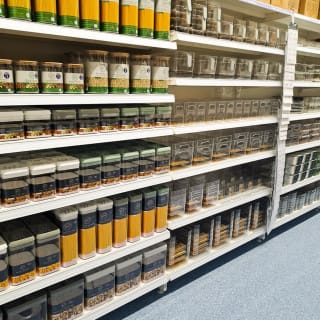 796-bmstores-faraday-store-opening-30