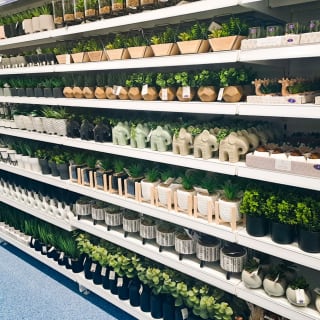 798-bmstores-chatteris-store-opening-23