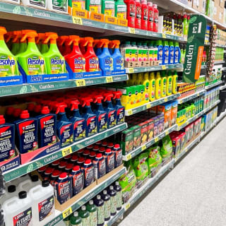 807-bmstores-porthmadog-store-opening-10