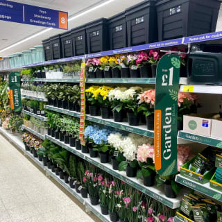 815-bandm-allestree-store-17